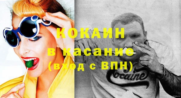 твердый Алексеевка