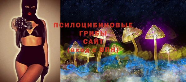 твердый Алексеевка
