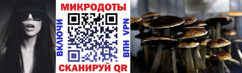 Галлюциногенные грибы Psilocybine cubensis Туринск